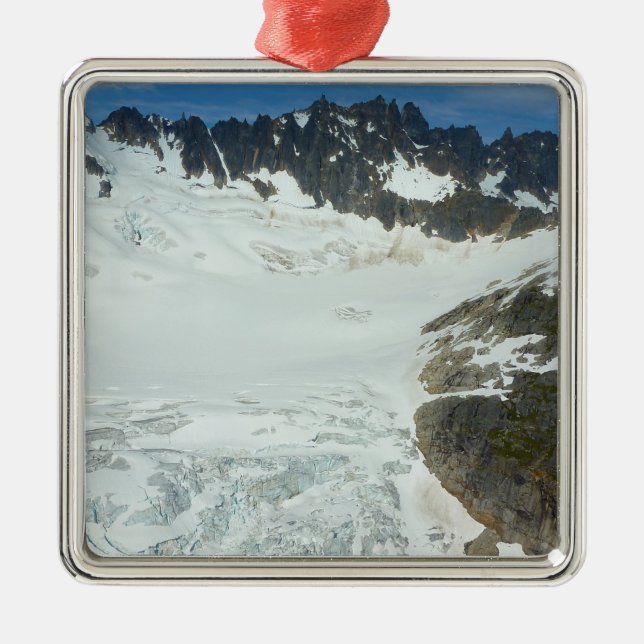 Alaskan Glacier Scenic Travel Landscape Metal Tree Decoration (Front)