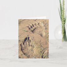 Alaskan Grizz Tracks - 4" x 5.6" Notecard