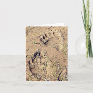 Alaskan Grizz Tracks - 4" x 5.6" Notecard