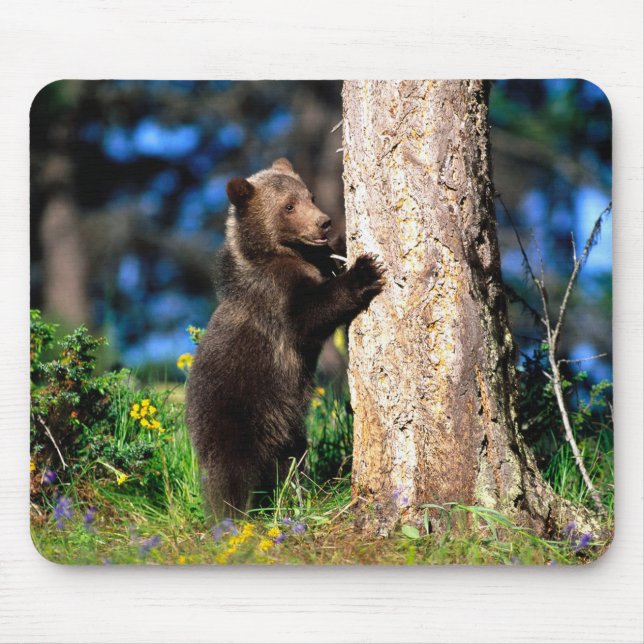 Alaskan Grizzly Bear Cub Mouse Pad (Front)