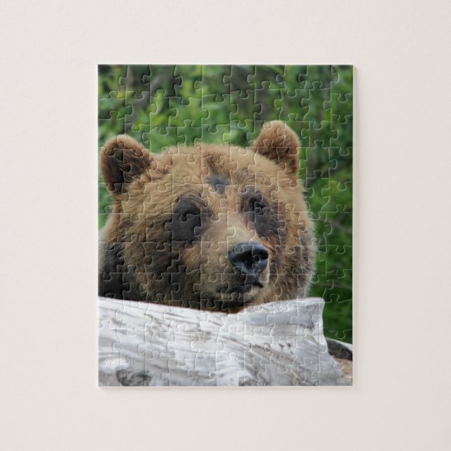 Alaskan Grizzly Bear, The Kodiak Jigsaw Puzzle (Vertical)