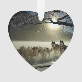 Alaskan Husky Dog Sled Race Ornament
