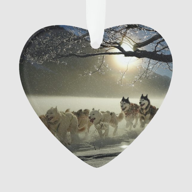 Alaskan Husky Dog Sled Race Ornament (Front)