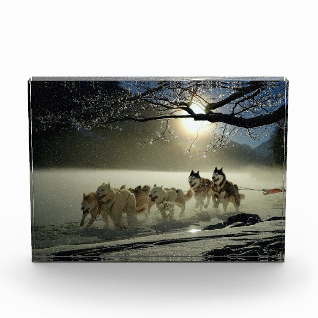 Alaskan Husky Dog Sled Race Photo Block (Front)