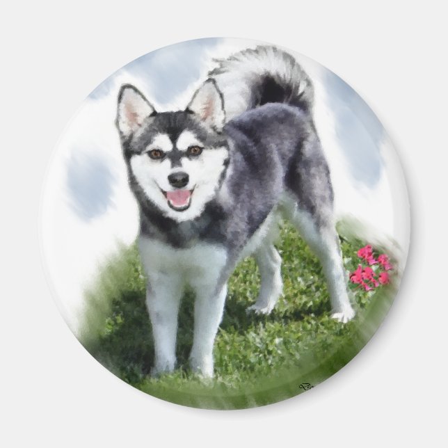 Alaskan Klee Kai Art Magnet (Front)