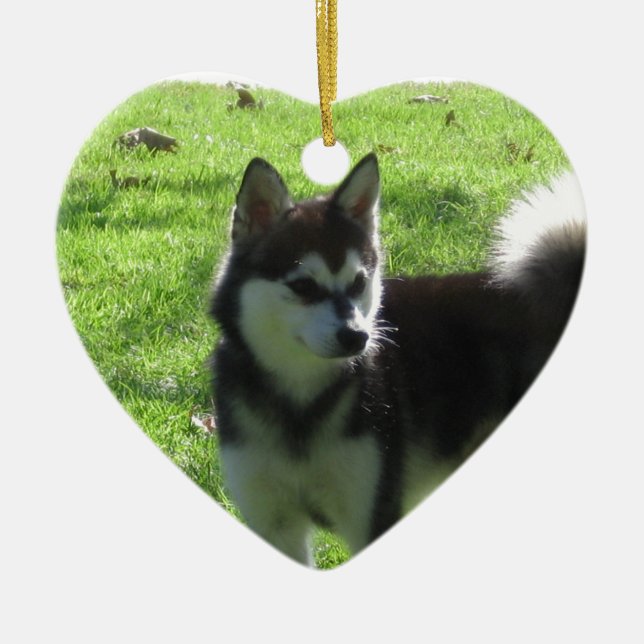 Alaskan Klee Kai Dog Ceramic Tree Decoration (Front)
