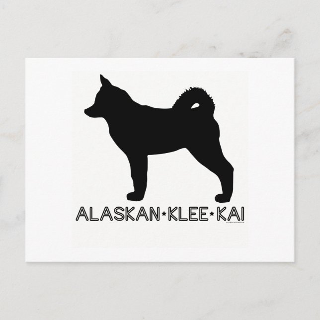 Alaskan Klee Kai Postcard (Front)