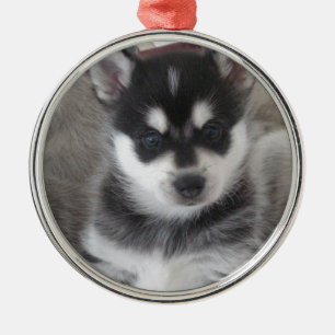 Alaskan Klee Kai Puppy Dog Metal Tree Decoration