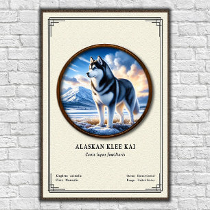 Alaskan Klee Kai Zoology Series Poster
