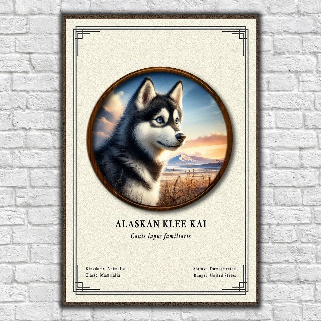 Alaskan Klee Kai Zoology Series Poster (Creator Uploaded)