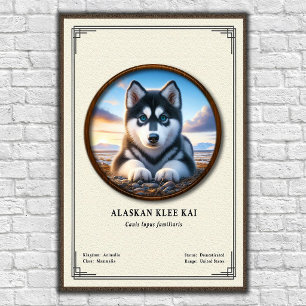 Alaskan Klee Kai Zoology Series Poster