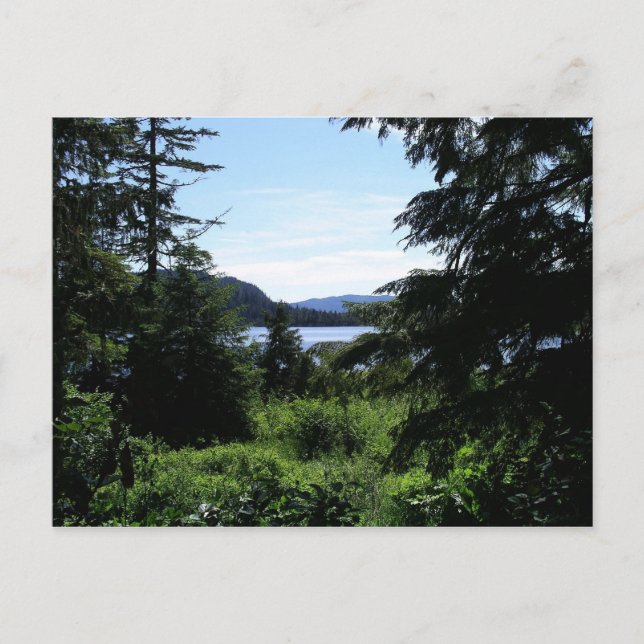 Alaskan Landscape Beautiful Alaska Photography Postcard (Front)