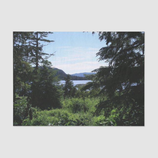 Alaskan Landscape Beautiful Alaska Photography Tissue Paper (Front)