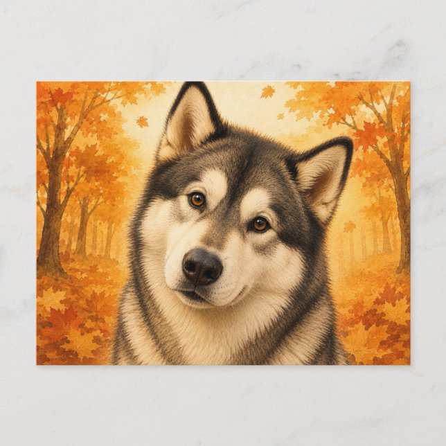 Alaskan Malamute Autumn Forest Dog Postcard (Front)