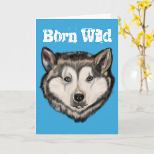 Alaskan Malamute          Card