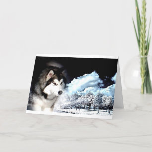 Alaskan Malamute Christmas Card