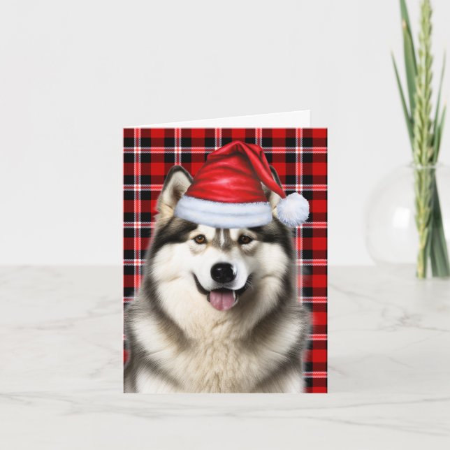 Alaskan Malamute Christmas Dog Holiday Plaid Card (Front)