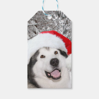 Alaskan Malamute Christmas Gift Tags