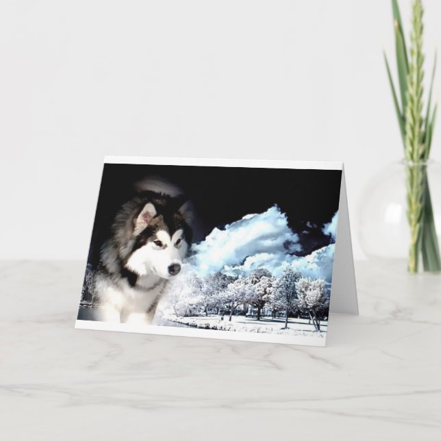 Alaskan Malamute Christmas greeting Holiday Card (Front)