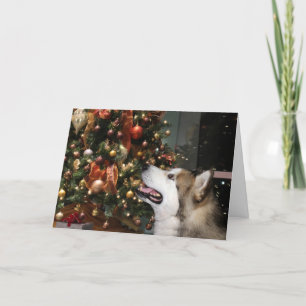 Alaskan Malamute Christmas Holiday Card