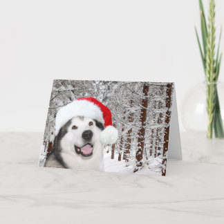Alaskan Malamute Christmas Holiday Card