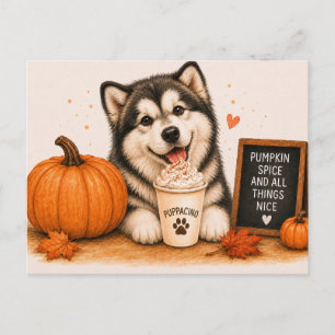 Alaskan Malamute Cozy Pumpkin Spice Puppaccino Postcard