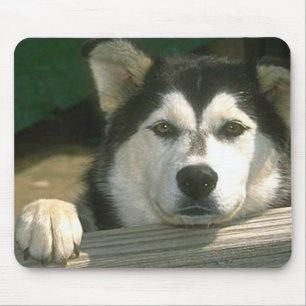 Alaskan Malamute - Customised Mouse Mat