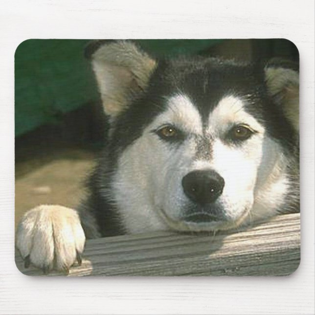Alaskan Malamute - Customised Mouse Mat (Front)