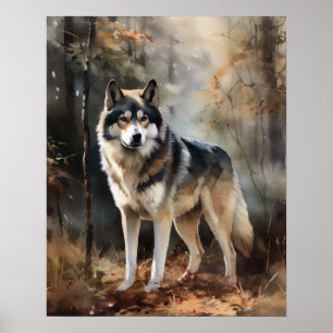 Alaskan Malamute Dog Art Print Poster