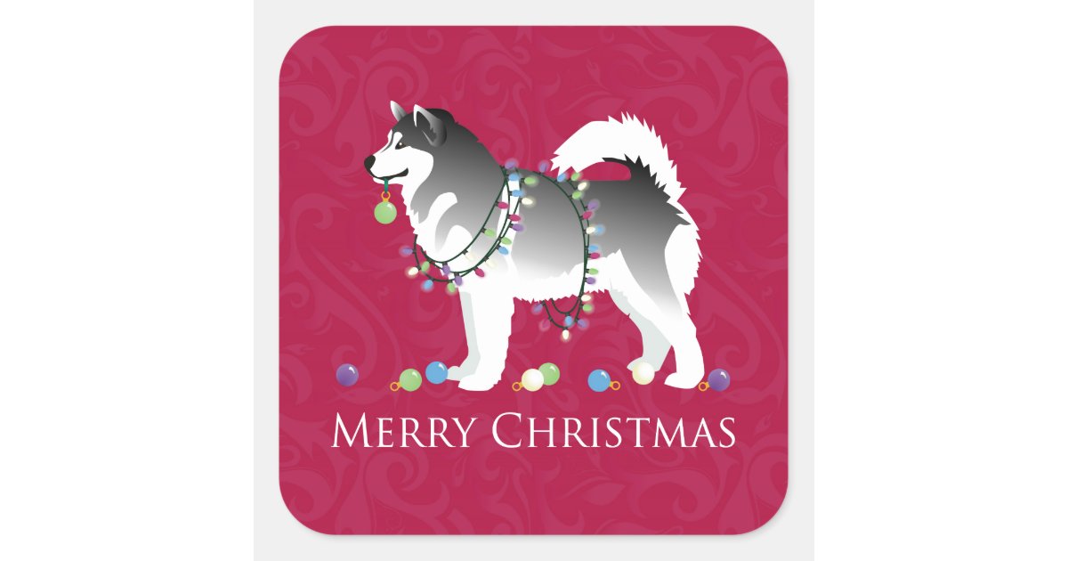 Alaskan Malamute Dog Merry Christmas Design Square Sticker | Zazzle.co.uk