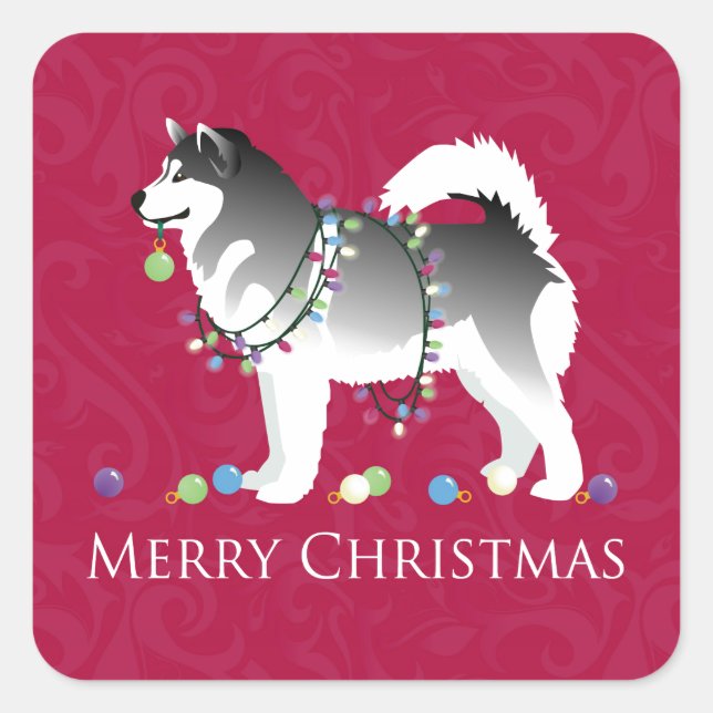 Alaskan Malamute Dog Merry Christmas Design Square Sticker (Front)