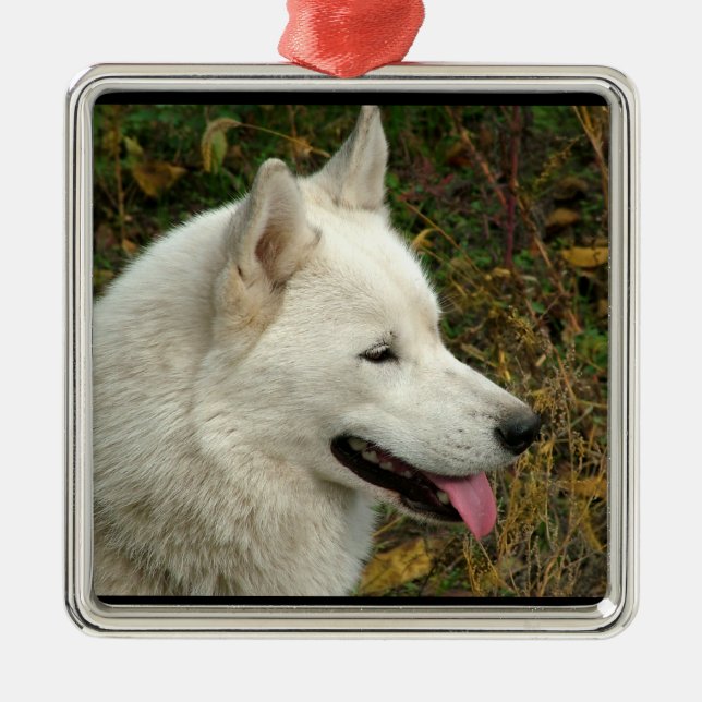 Alaskan Malamute Dog Metal Tree Decoration (Front)