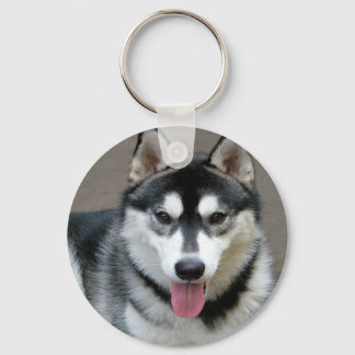Alaskan Malamute Dog Photograph Key Ring