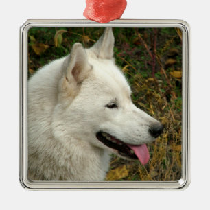 Alaskan Malamute Dog Photograph Metal Tree Decoration