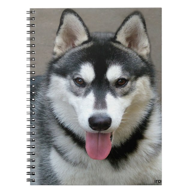 Alaskan Malamute Dog Photograph Notebook (Front)