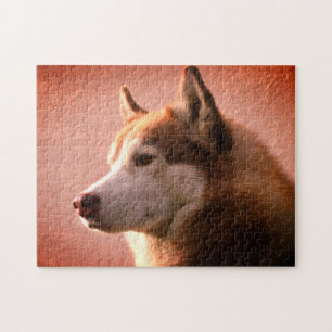 Alaskan Malamute Dog Photograph   Red Jigsaw Puzzle