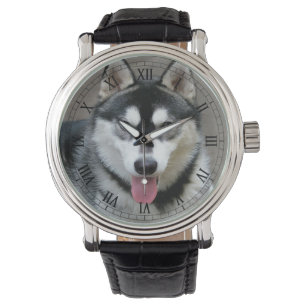 Alaskan Malamute Dog Photograph Watch