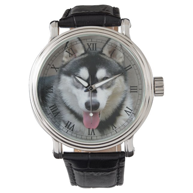 Alaskan Malamute Dog Photograph Watch (Front)