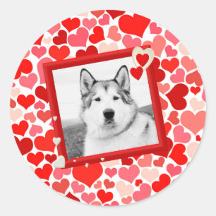 Alaskan Malamute Dog Valentines Heart Classic Round Sticker