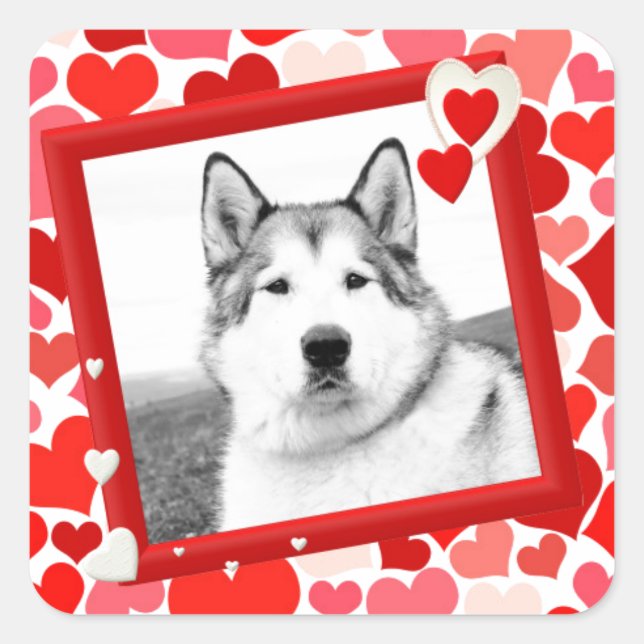 Alaskan Malamute Dog Valentines Heart Square Sticker (Front)