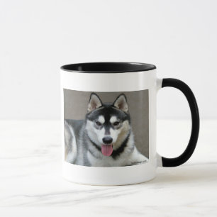Alaskan Malamute Dogs Mug