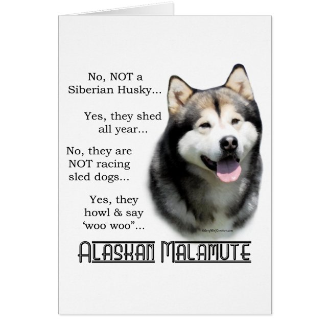 Alaskan Malamute FAQ (Front)