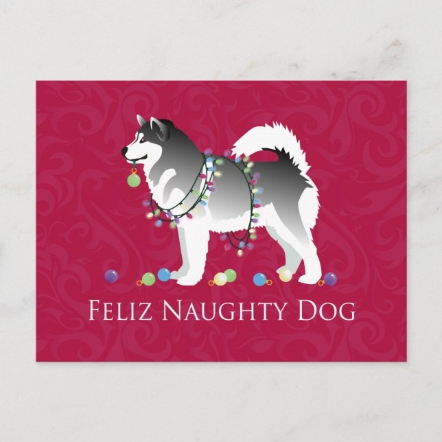 Alaskan Malamute Feliz Naughty Dog Christmas Holiday Postcard (Front)