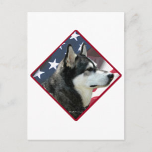 Alaskan Malamute Flag 2 Postcard