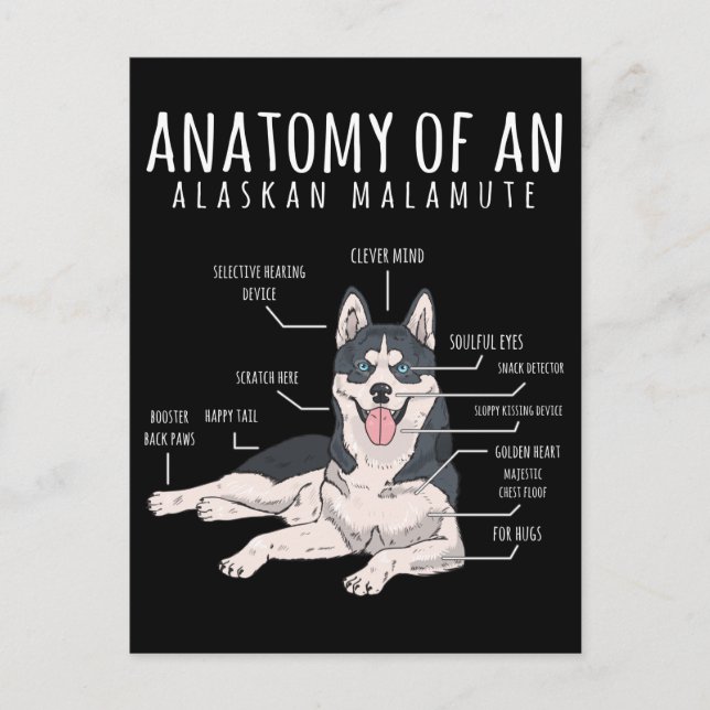 Alaskan Malamute Funny Dog Owner Postcard (Front)