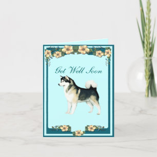 Alaskan Malamute Get Well Greeting Card