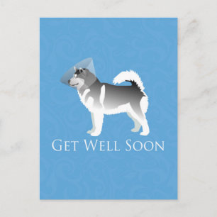 Alaskan Malamute Get Well Soon Design Postcard