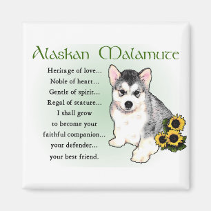 Alaskan Malamute Gifts Magnet