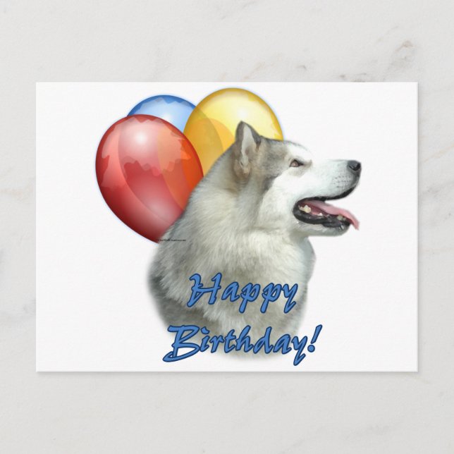 Alaskan Malamute Happy Birthday Balloons Postcard (Front)