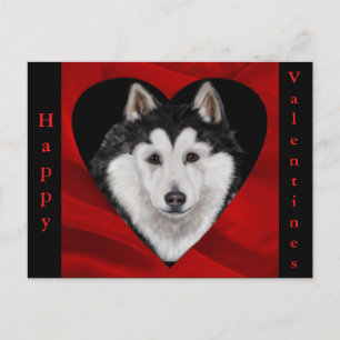 Alaskan Malamute Holiday Postcard